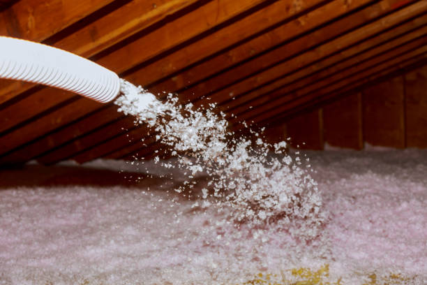 Insulation Repair Services in Taylor, TX