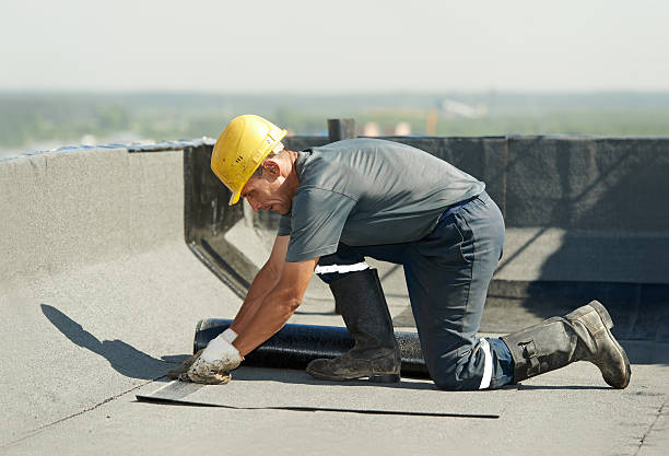 Best Spray Foam Insulation  in Taylor, TX